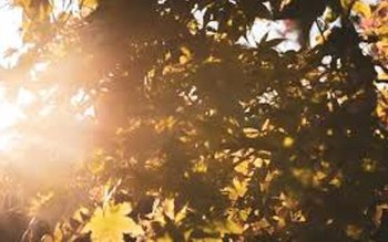 Prognoza meteo 5-18 septembrie: Regimul …