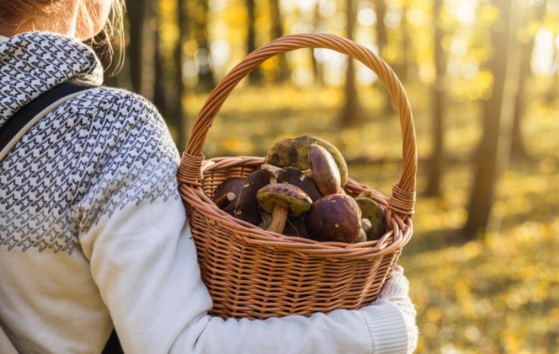 Alimentul care reduce riscul de cancer de sân cu 60 la sută