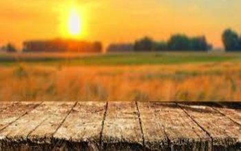 Un val de căldură neobișnuit …