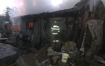 Încendiu violent într-o gospodărie din …