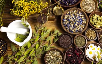 Planta care curăță rinichii și …