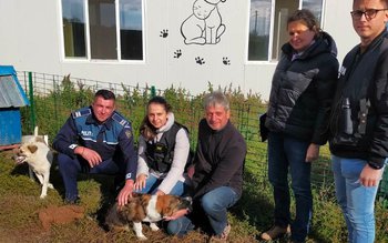 Acțiune a polițiștilor din cadrul …