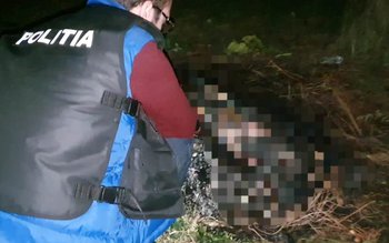 Bărbat reținut pentru uciderea animalelor