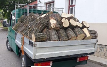 Încă un transport ilegal de …