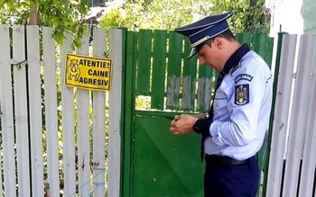 Zeci de proprietari de câini …