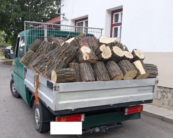 Material lemnos confiscat și amendă pentru un transport ilegal de lemne v