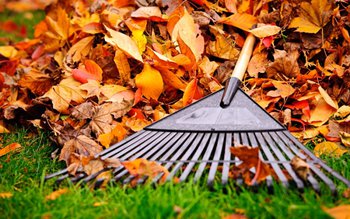 Greșeala pe care o fac …