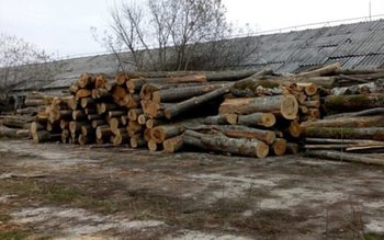 Amendă și 4 metri cubi …