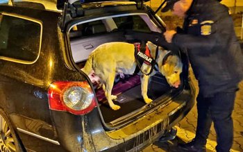 Botoșani: Acțiune a polițiștilor rutieri …