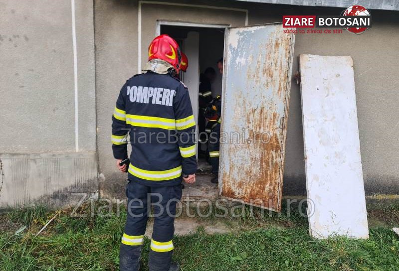 Pompierii dorohoieni din nou eroi pentru necuvântătoare: Câine salvat dintr-un grup sanitar dezafectat - FOTO
