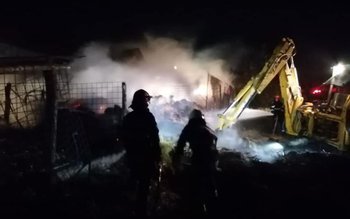 Depozit de furaje cuprins de …