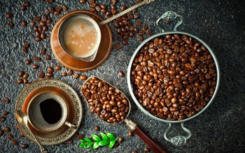 Ce se întâmplă în intestinul …