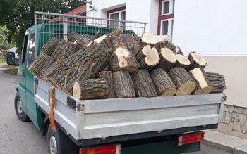 Ghinion: au rămas și fără …