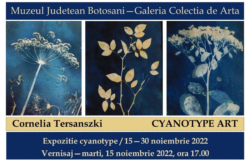 Muzeul Județean Botoșani găzduiește expoziția „Vegetal”