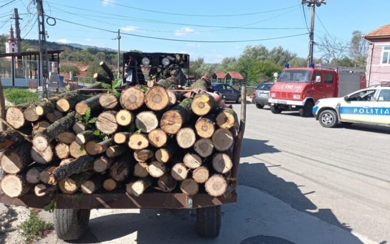 Amendă și material lemnos confiscat de Polițiștii din Săveni