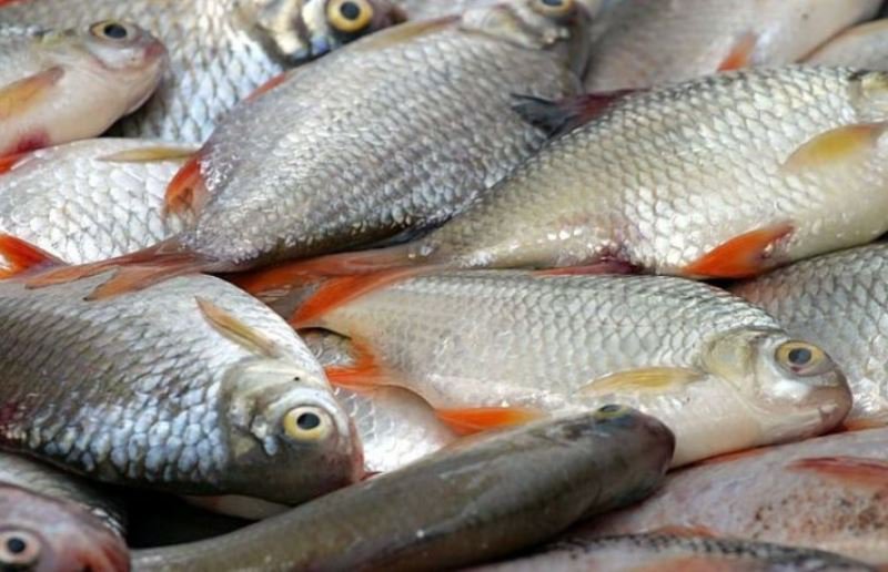 Peste 40 de kilograme de pește confiscate de polițiști