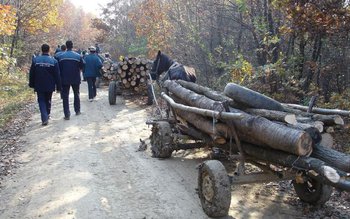 Acțiuni ale polițiștilor pentru combaterea …