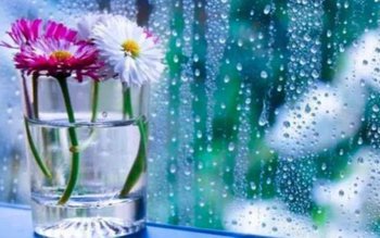 Cum să scapi de condensul …