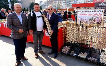 Lucian Trufin: „Guvernul susține producția …