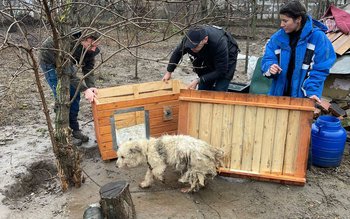 Activități preventive desfășurate de polițiștii …