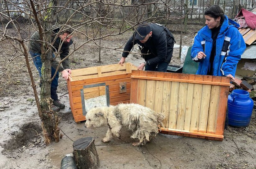 Activități preventive desfășurate de polițiștii biroului pentru protecția animalelor - FOTO