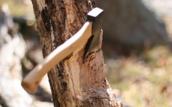 Sfârșit tragic pentru un bărbat …