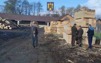 Acțiune a polițiștilor privind tăierile …