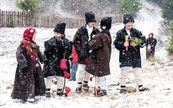 Campania de informare a polițiștilor: …