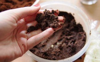 Arunci zațul de cafea? Iată …