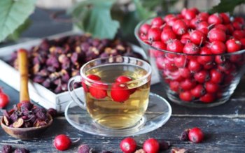 Ceaiului de păducel elixir pentru …