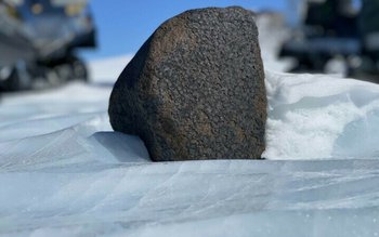 Descoperirea extrem de rară făcută …