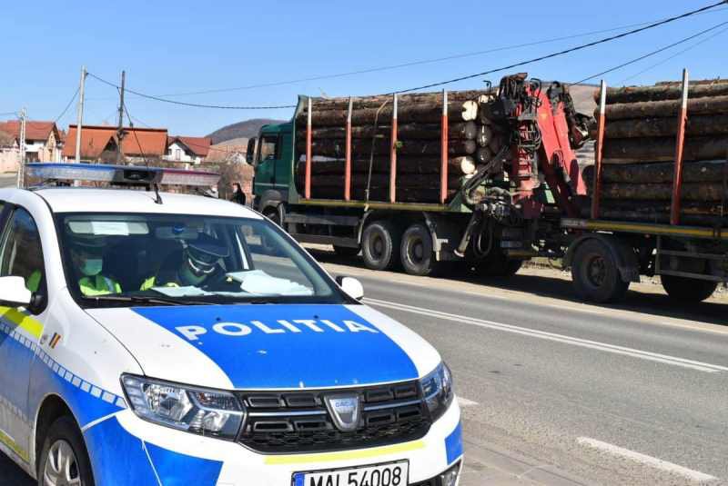 Controale ale polițiștilor pe linia transportului de material lemnos și al animalelor vii