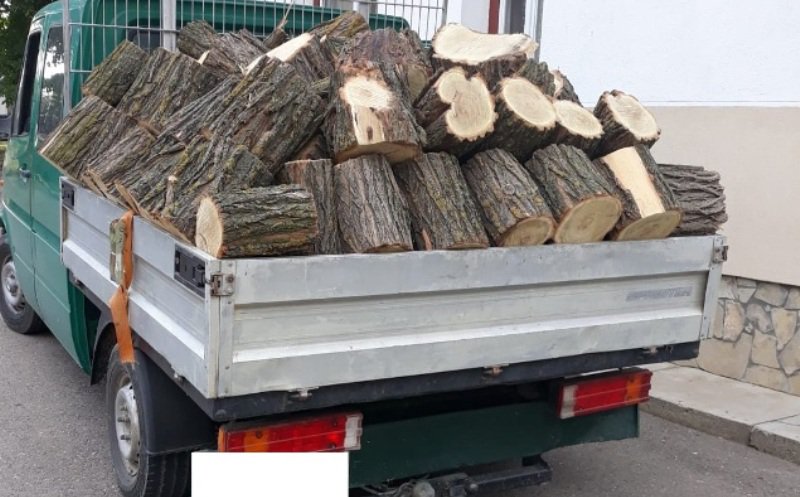 Peste 11 metri cubi de material lemnos fără documente, confiscat de polițiștii botoșăneni