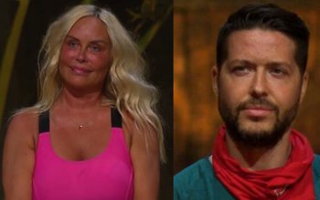 Câți bani au luat Vica …