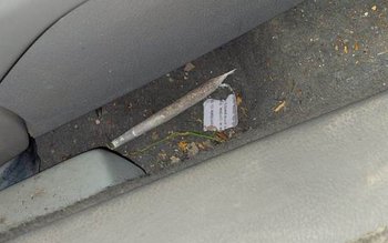 Bărbați depistați cu droguri de …