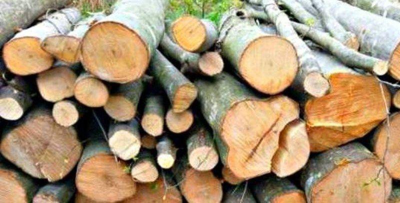 Material lemnos confiscat de polițiștii botoșăneni la Răchiți
