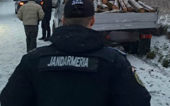 Lemne fără documente de proveniență …