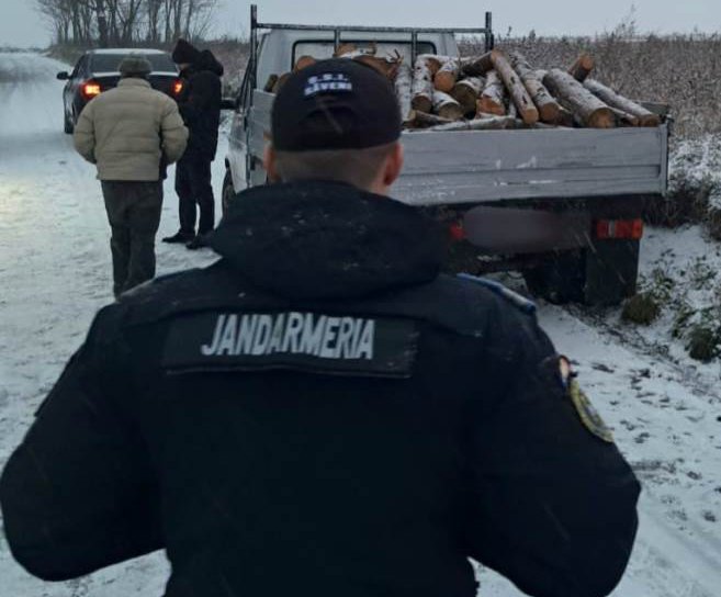 Lemne fără documente de proveniență confiscate de jandarmii botoșăneni - FOTO