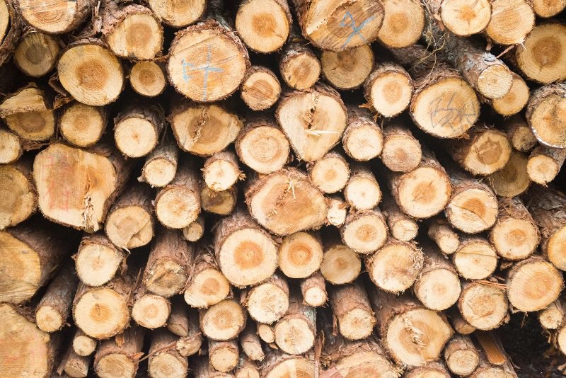Sancțiuni de peste 5000 lei aplicate de polițiștii din Ștefănești pentru transport ilegal de lemne