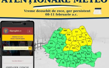 COD GALBEN de GER pentru …