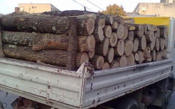 Peste 6 metri cubi de …