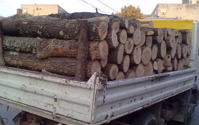 Peste 6 metri cubi de material lemnos confiscat