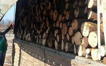 S-a ales cu amendă și …