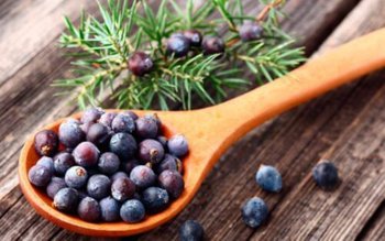 Ienupărul, planta care te ajută …