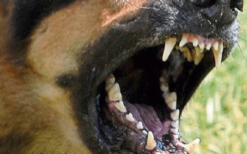 O femeie nu a putut …