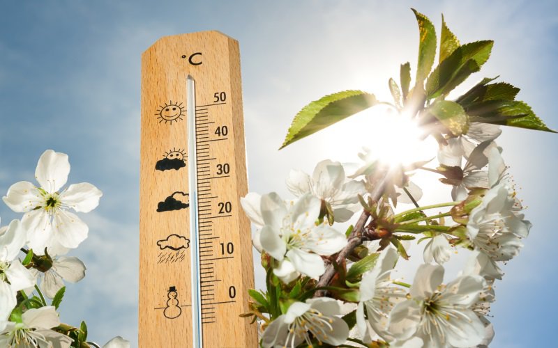 Prognoza meteo 6 martie - 3 aprilie. Va ploua mult în prima lună de primăvară