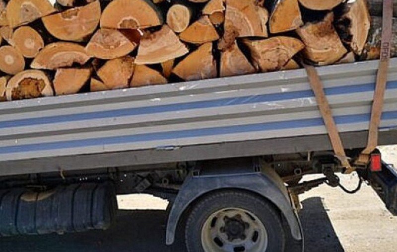 Material lemnos confiscat la Cristești
