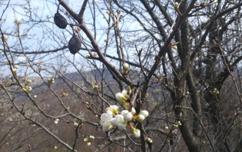 Se schimbă vremea în România. Ce zone vor avea temperaturi în creştere