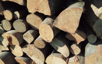 Peste 4 metri cubi de …