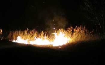 Incendiu de vegetație la marginea …